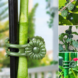 Garden Plant Clips