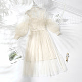 Spring Autumn Floral Embroidery Applique Sweet Tulle Mesh Dress Lantern Sleeve Elegant Midi Dress