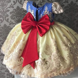 Baby Girl Dresses Lace Embroidery Christmas Dress Wedding Gown Children Clothing Kids Dresses For Girls Children Ceremony Party
