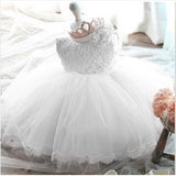 Newborn Baby Girls Lace Princess Dress 1 2 Year Birthday Party Tutu Christening Gown Toddler Christmas Infant Baptism Clothes
