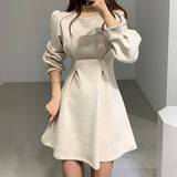 Vintage Faux Suede Dress Autumn Winter Casual Crew Neck Long Sleeve Mini Dress