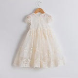 Summer Lace Princess Girl Dress Mesh Tulle Party Dress Girls Flower Embrodery Wedding Gown Children Casual Wear Vestido Infantil