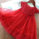 Summer Baby Kids Dresses For Girls Lace Tulle Party Princess Dress Children Lace Embroidery Dress Girl Casual Clothes 2 7 Years