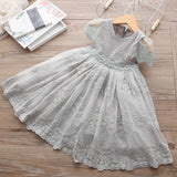 Summer Baby Kids Dresses For Girls Lace Tulle Party Princess Dress Children Lace Embroidery Dress Girl Casual Clothes 2 7 Years