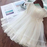 Little Girl Lace Dresses for Girls Tutu Princess Party Dresses Princess Birthday Costume Girls Clothing Summer Children Clothes