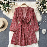 Spring Autumn Women Deep V Neck Tie Bow Print Casual Dress Elegant Vintage Long Sleeve Mini Dress