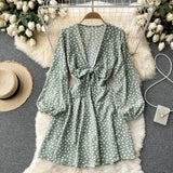 Spring Autumn Women Deep V Neck Tie Bow Print Casual Dress Elegant Vintage Long Sleeve Mini Dress