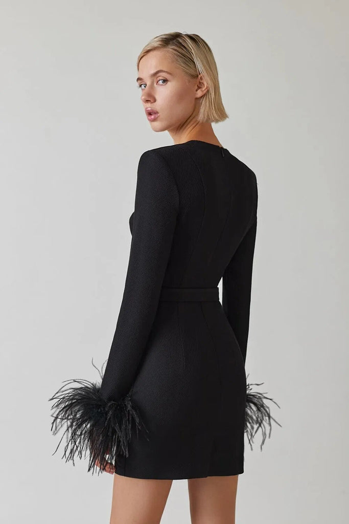 Long Sleeve Feather Sexy Evening Party Women Night Celebrity Dress